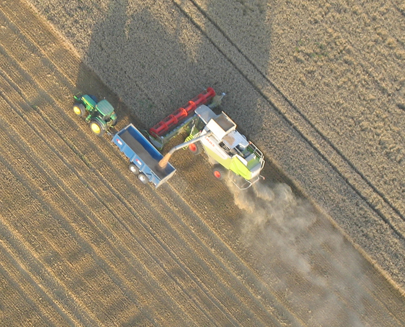 You can often see the dust kicked up by combine harvesters during summer months or sometimes be lucky enough to fly right over one working the fields in Essex to harvest wheat for bread making, barley for animal feed or seeds to grow more crops